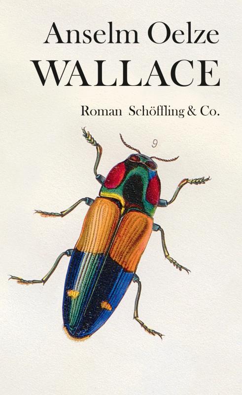 Cover-Bild Wallace