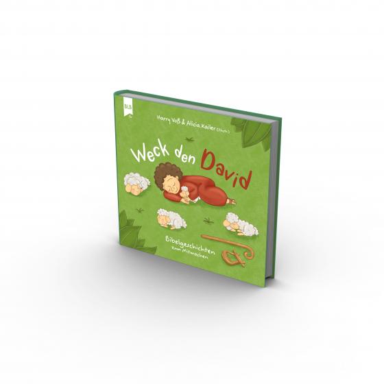 Cover-Bild Weck den David