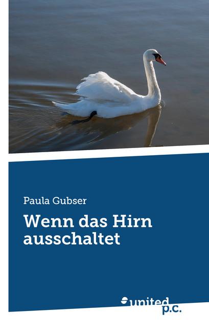 Cover-Bild Wenn das Hirn ausschaltet