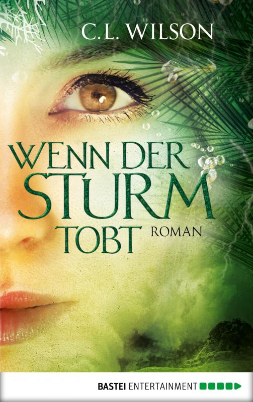Cover-Bild Wenn der Sturm tobt