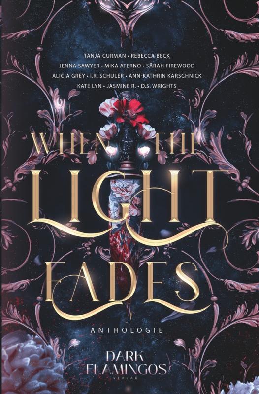 Cover-Bild When the Light Fades