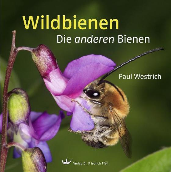 Cover-Bild Wildbienen