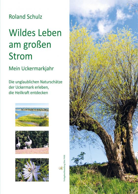 Cover-Bild Wildes Leben am großen Strom. Mein Uckermarkjahr