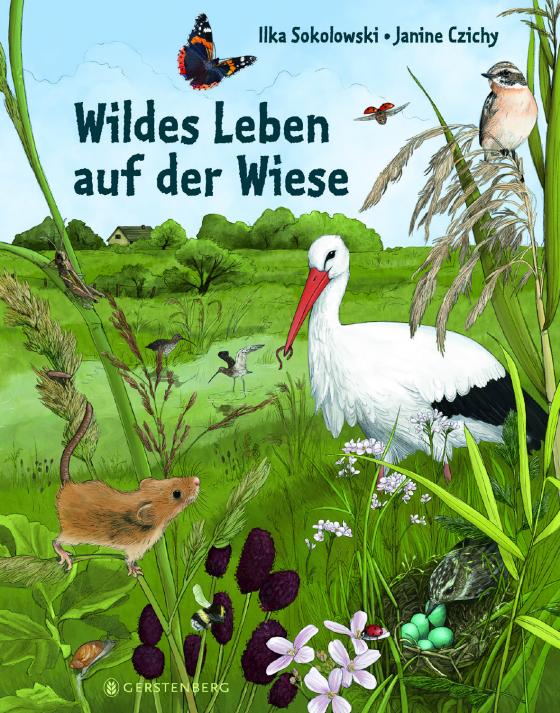 Cover-Bild Wildes Leben auf der Wiese