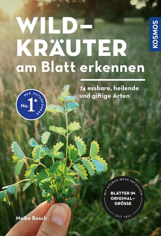 Cover-Bild Wildkräuter am Blatt erkennen
