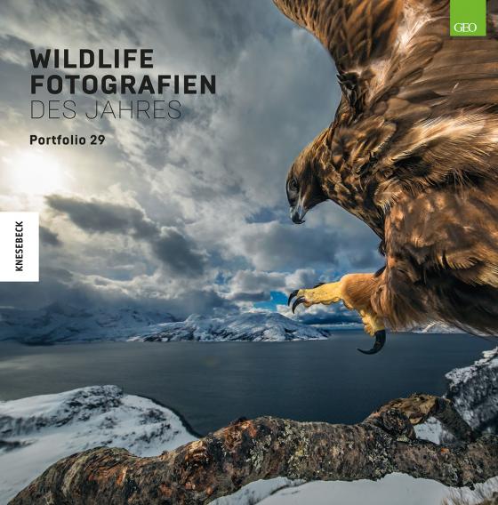 Cover-Bild Wildlife Fotografien des Jahres – Portfolio 29