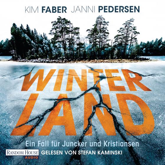 Cover-Bild Winterland
