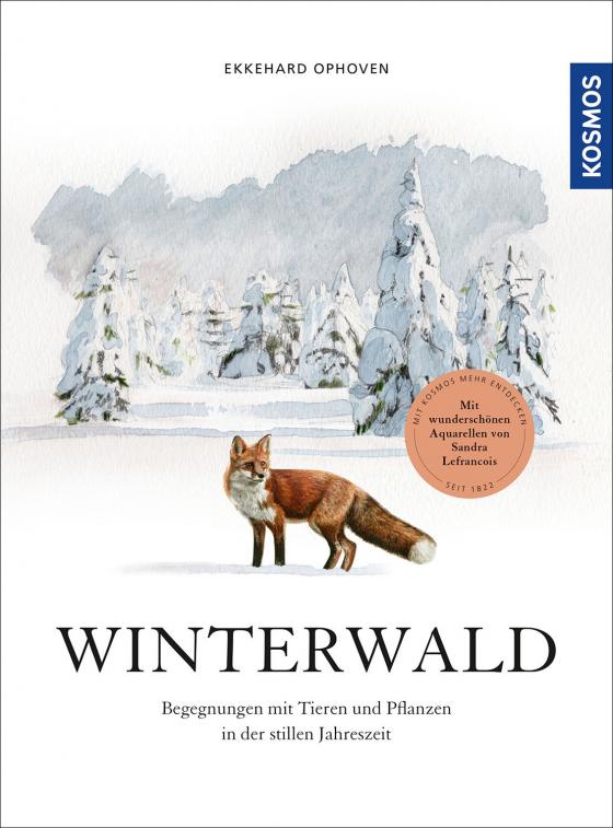 Cover-Bild Winterwald