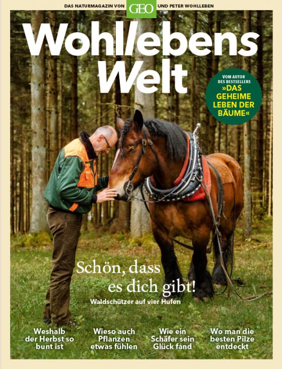 Cover-Bild Wohllebens Welt / Wohllebens Welt - 3/2019 Neue Ideen für nachhaltigen Umgang