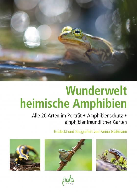Cover-Bild Wunderwelt heimische Amphibien