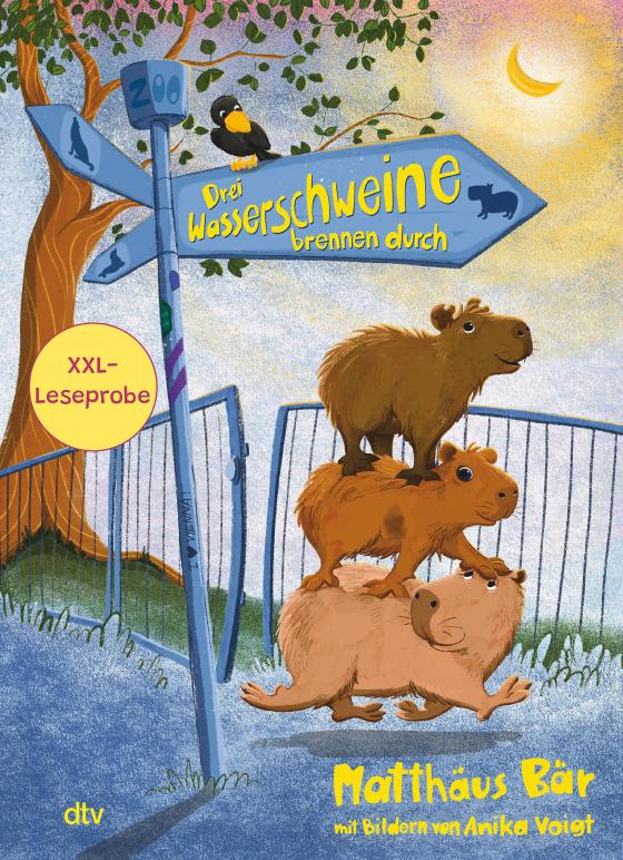 Cover-Bild XXL-Leseprobe: Drei Wasserschweine brennen durch / Drei Wasserschweine wollen's wissen