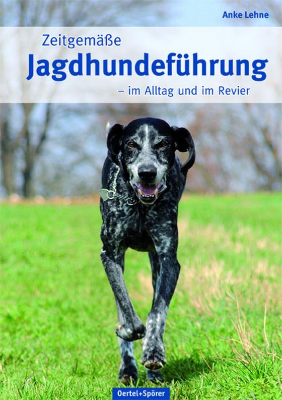 Cover-Bild Zeitgemäße Jagdhundeführung