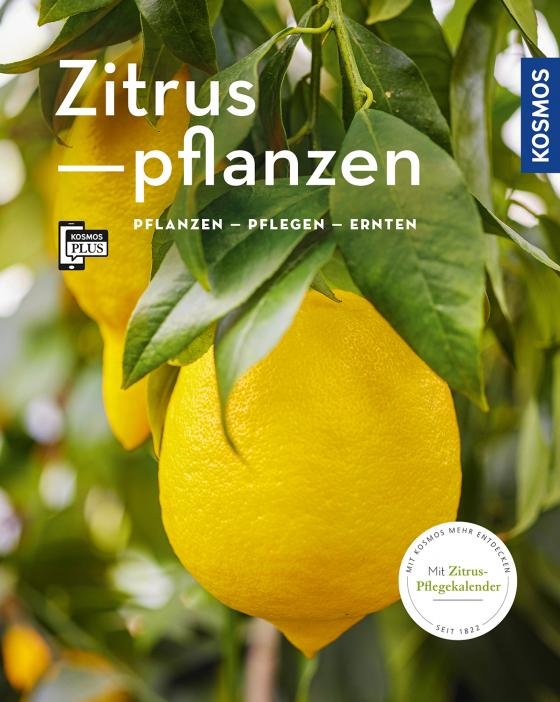 Cover-Bild Zitruspflanzen (Mein Garten)