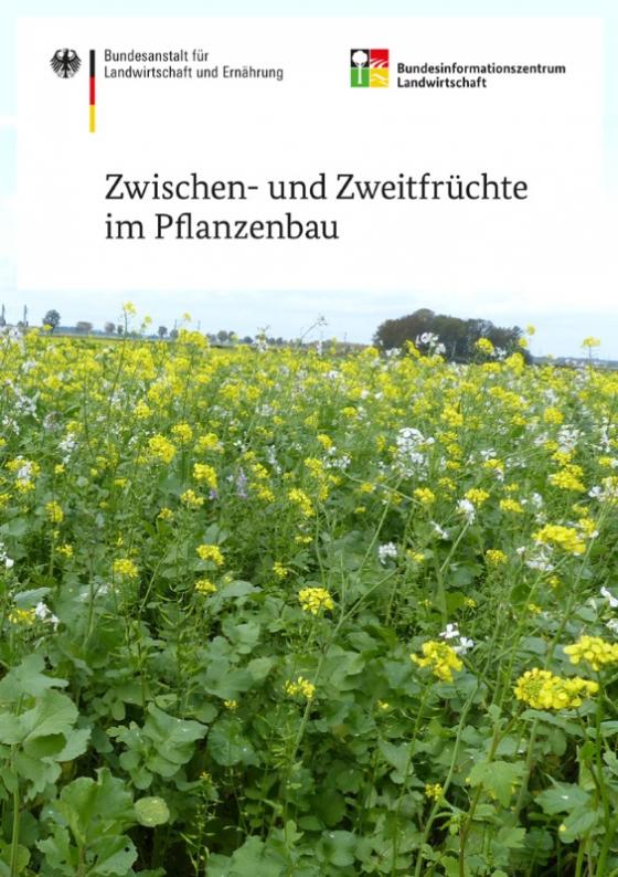 Cover-Bild Zwischen- und Zweitfrüchte im Pflanzenbau