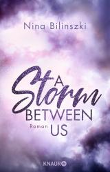 Cover-Bild A Storm Between Us