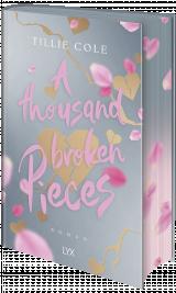 Cover-Bild A Thousand Broken Pieces: Special Edition