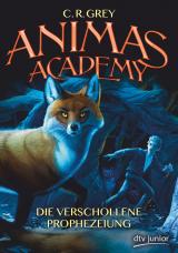 Cover-Bild Animas Academy – Die verschollene Prophezeiung