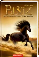 Cover-Bild Blitz (Bd. 2)