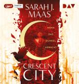 Cover-Bild Crescent City – Teil 1: Wenn das Dunkel erwacht