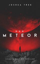 Cover-Bild Der Meteor