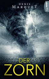 Cover-Bild Der Zorn