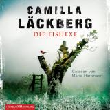 Cover-Bild Die Eishexe (Ein Falck-Hedström-Krimi 10)