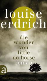 Cover-Bild Die Wunder von Little No Horse