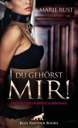 Cover-Bild Du gehörst MIR! Erotischer Herrenclubroman