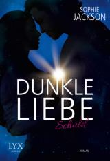 Cover-Bild Dunkle Liebe - Schuld