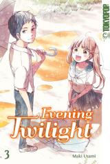 Cover-Bild Evening Twilight 03