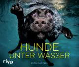 Cover-Bild Hunde unter Wasser