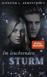 Cover-Bild Im leuchtenden Sturm