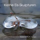 Cover-Bild Kleine Eis-Skulpturen