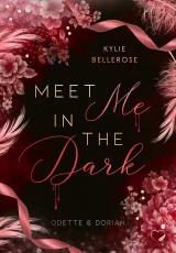 Cover-Bild Meet me in the Dark