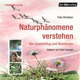 Cover-Bild Naturphänomene verstehen