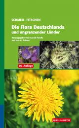 Cover-Bild SCHMEIL-FITSCHEN Die Flora Deutschlands und angrenzender Länder