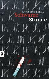 Cover-Bild Schwarze Stunde