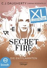 Cover-Bild Secret Fire. Die Entflammten. XL-Leseprobe