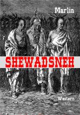 Cover-Bild Shewadsneh - Großdruck