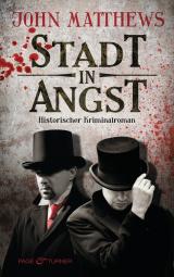 Cover-Bild Stadt in Angst