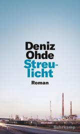 Cover-Bild Streulicht