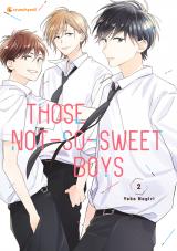 Cover-Bild Those Not-So-Sweet Boys – Band 2