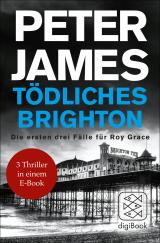 Cover-Bild Tödliches Brighton