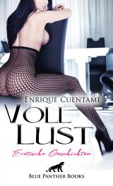 Cover-Bild VollLust | 22 Erotische Geschichten