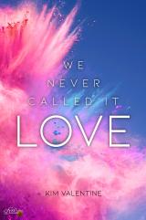 Cover-Bild We Never Called It Love