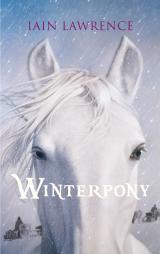 Cover-Bild Winterpony